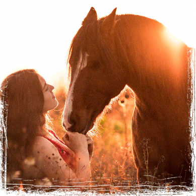 Pferd und Mensch im Sonnenaufgane
